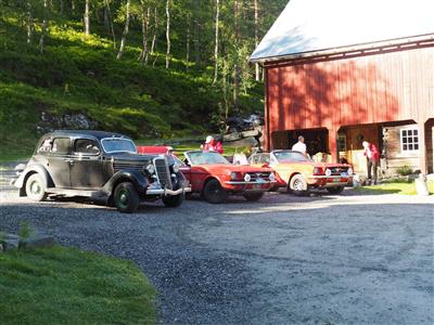 Ford+American V8